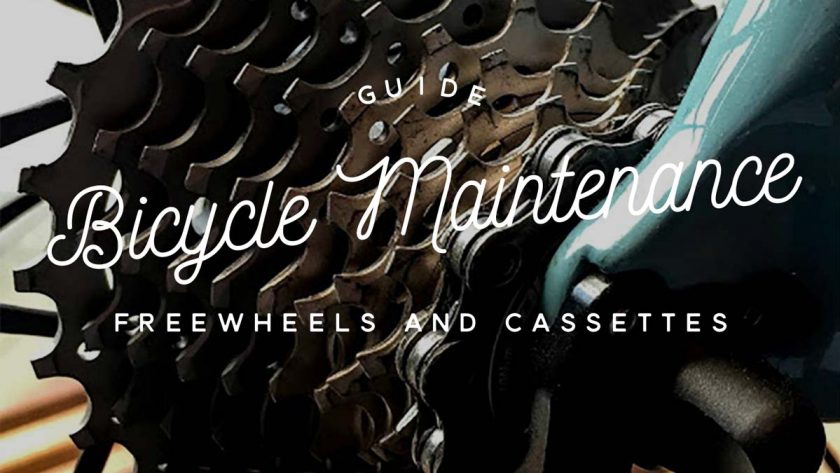 Bike Maintenance Freewheels/Cassettes